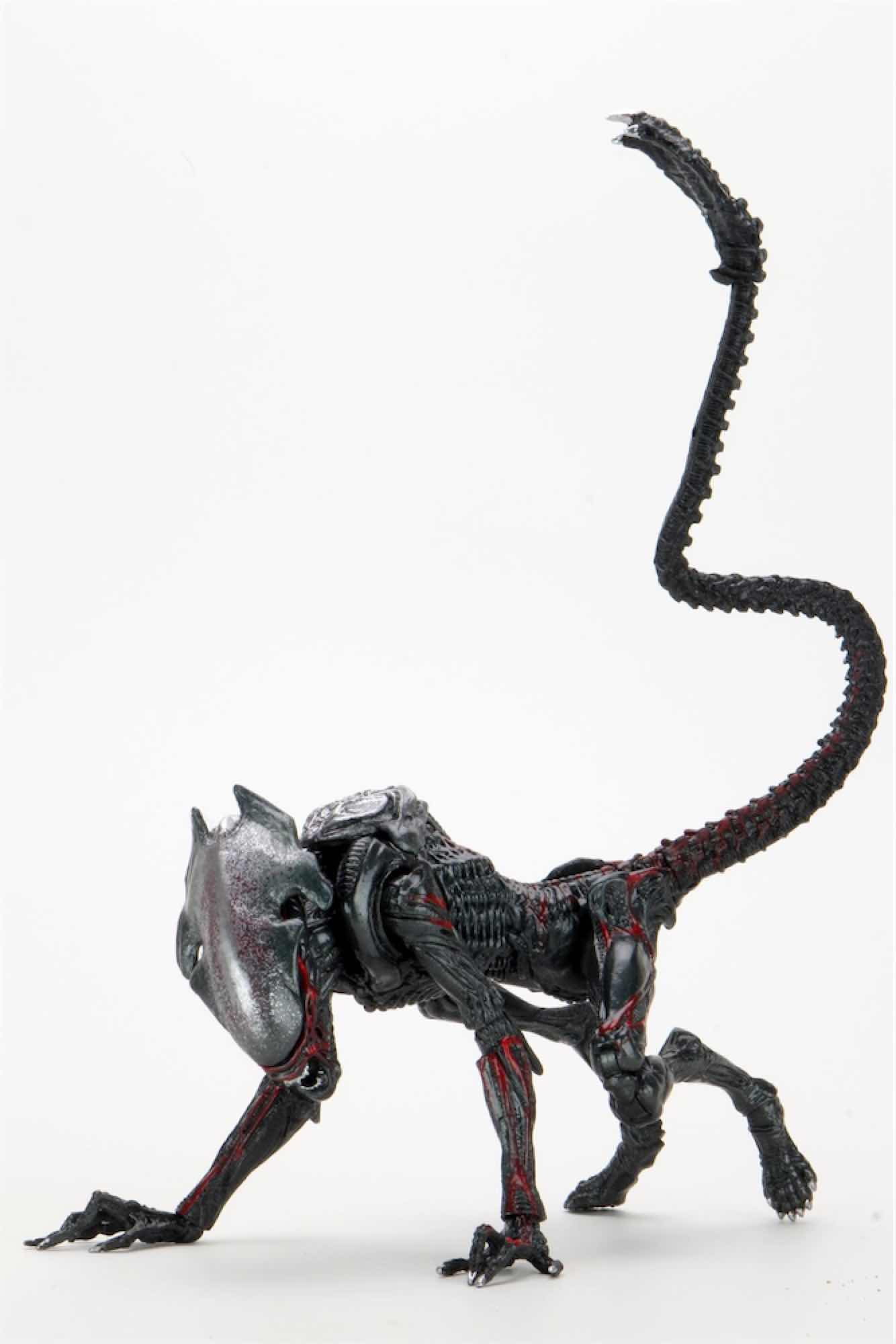 Figura neca night cougar alien scale